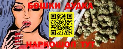 МДПВ Будённовск