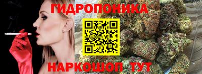 МДПВ Будённовск