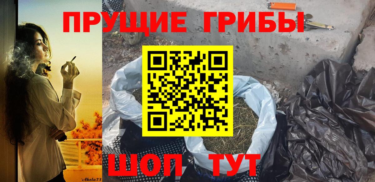 цены   Вход с VPN  Бор  Галлюциногенные грибы Cubensis  Галлюциногенные грибы Psilocybine cubensis 